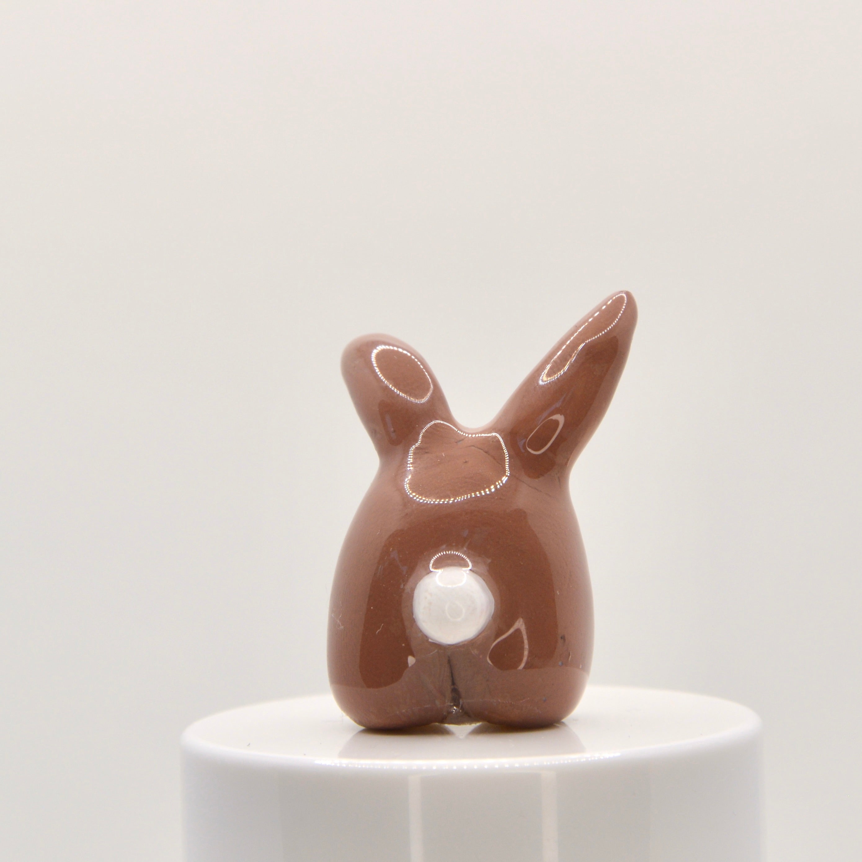 Bunny Pneeble 1