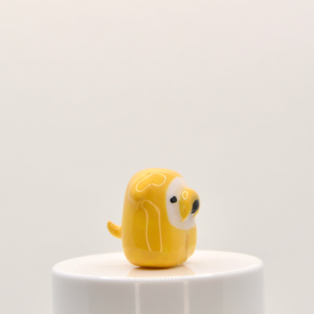 Jake the dog Pneeble 1