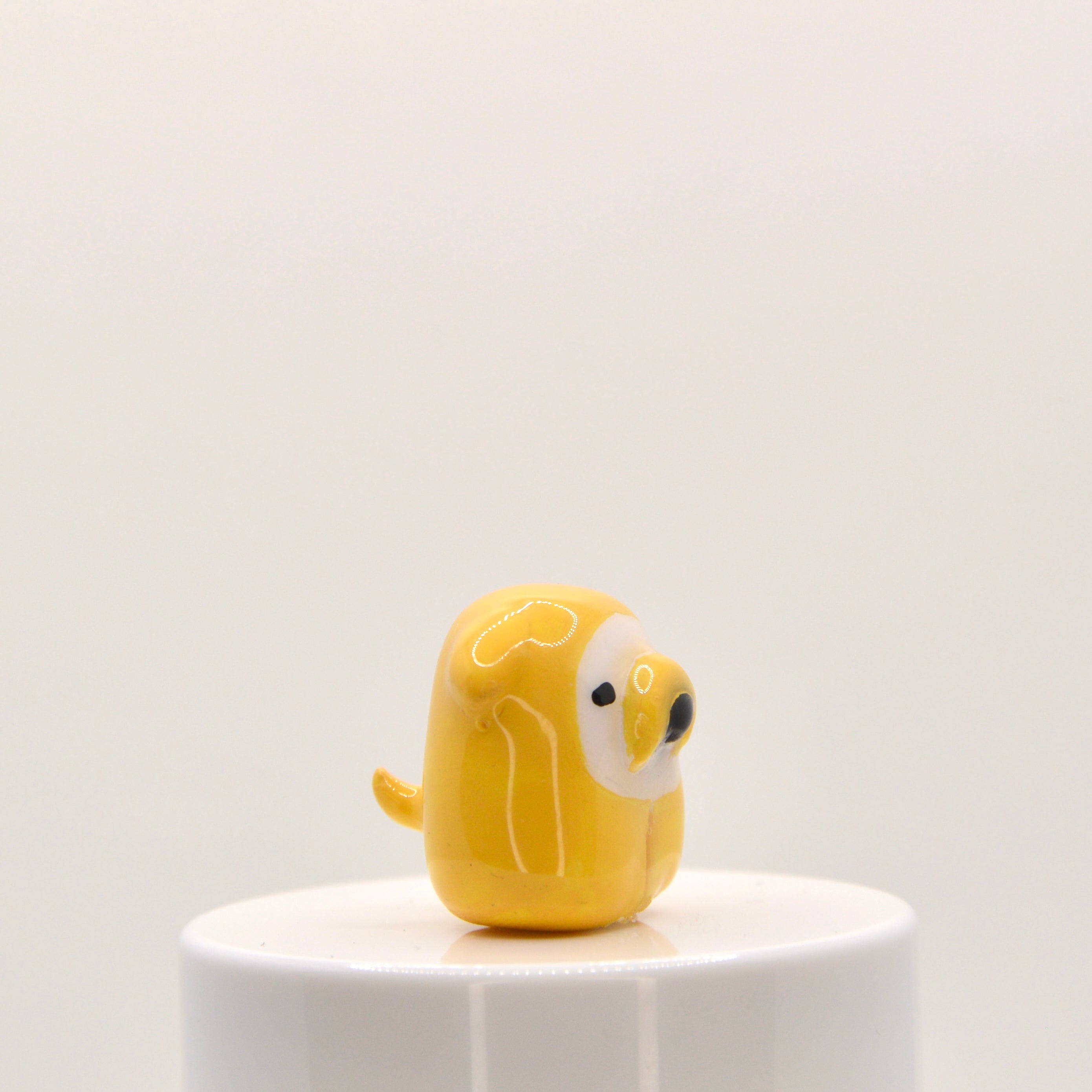 Jake the dog Pneeble 1