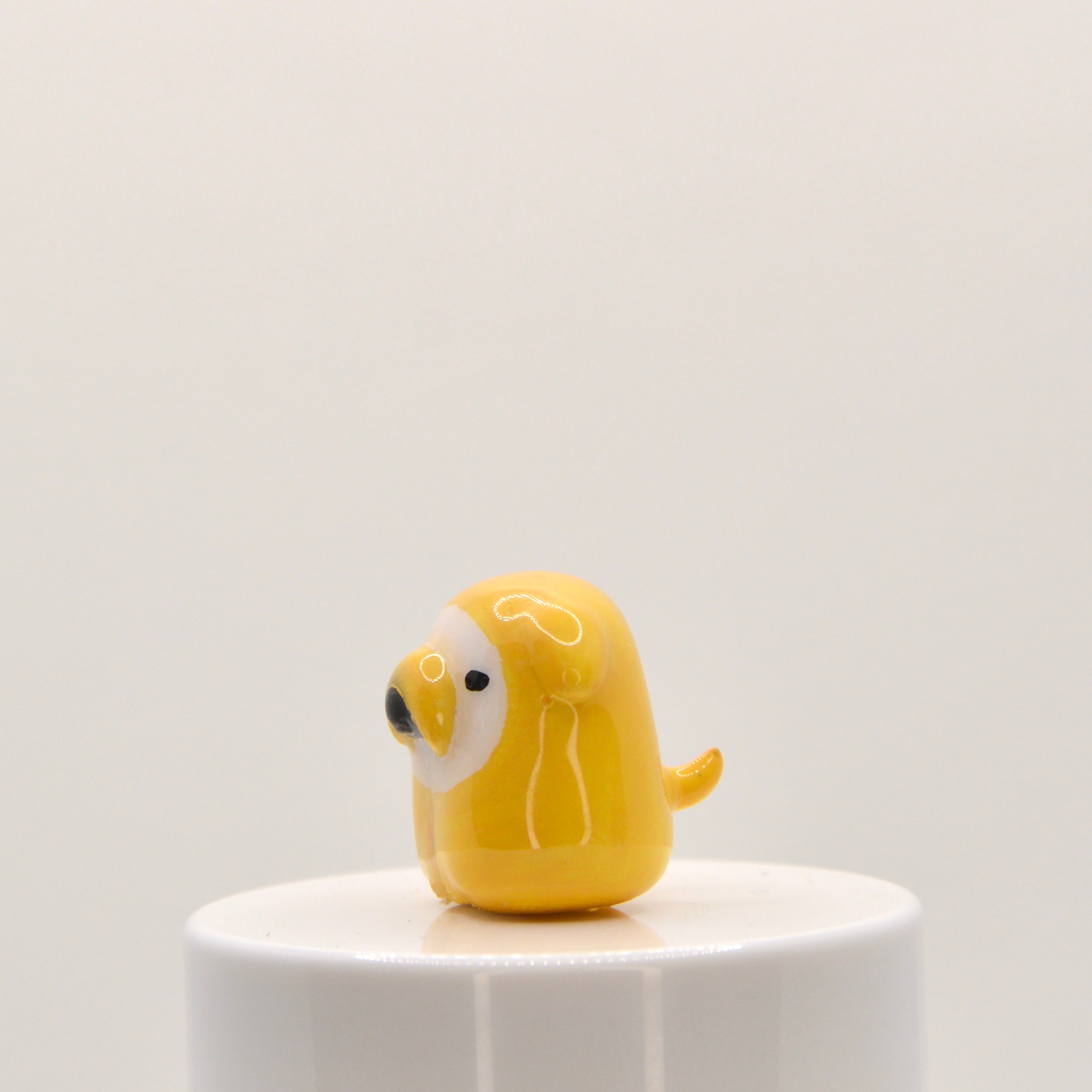 Jake the dog Pneeble 1